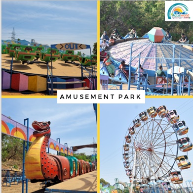 Amusement Park Rides